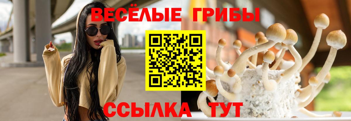 где купить наркоту  Псилоцибиновые грибы MAGIC MUSHROOMS  Вход с VPN  Можга 